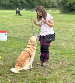 UK Sniffer Dogs