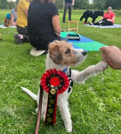 Happipup puppy and dog training