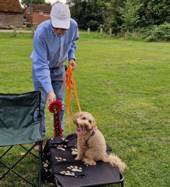 Happipup puppy and dog training