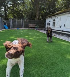 Shelley's Kennels