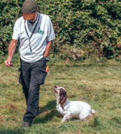 Adniel Dog Training