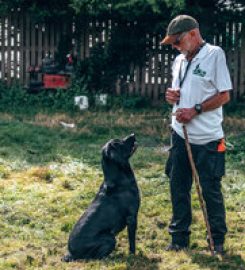 Adniel Dog Training