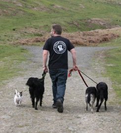 BRAW DOGS – Dog Walking & Pet Services in West Lothian