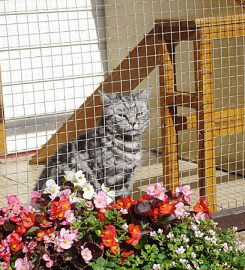 Harvesters Farm Kennels