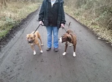 Priory Lodge Kennels