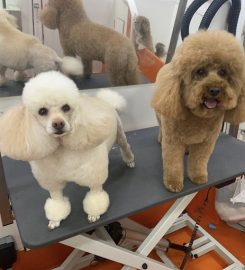 H&H Dog Grooming