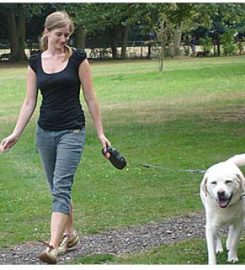 Harvesters Farm Kennels