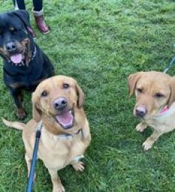 Copperbeech Boarding Kennels