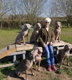 Windlegrey Top Dog Boarding Kennels