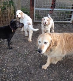 Benedict Farm Boarding Kennels