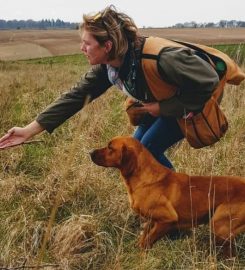 Arcklebear Gundogs