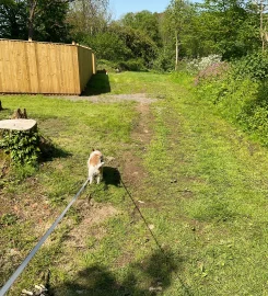 Animal Paradise Kennels