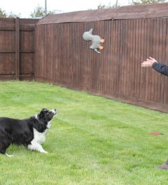 Crossroads Kennels And Cattery