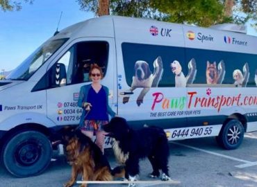 Paws Pet Transport Ltd