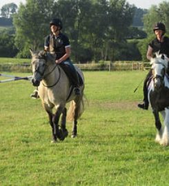 Horse and Hound School. Training and support for dogs and horses