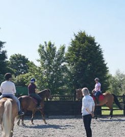 Horse and Hound School. Training and support for dogs and horses