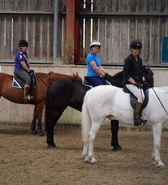 Horse and Hound School. Training and support for dogs and horses