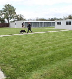 Crossroads Kennels And Cattery