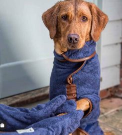 Eshiels Gundogs Boarding and Training Kennels