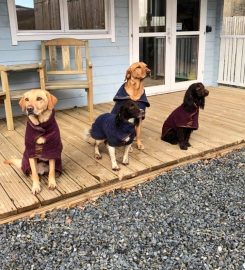 Eshiels Gundogs Boarding and Training Kennels