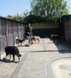 Isadene Kennels and Cattery