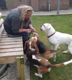 Formby Boarding Kennels & Cattery