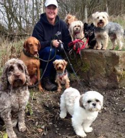 Dog walking and pet sitting service