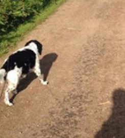 Winterbrooke Boarding Kennels