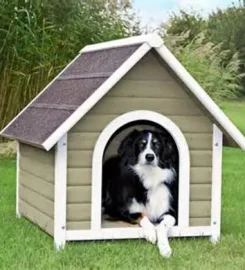 Lilac Cottage Kennels & Cattery