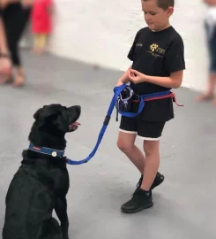 Short Bark & Sides Dog Grooming with Day Care