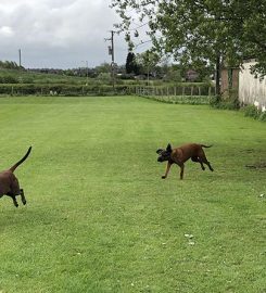 Astleys Farm Boarding Kennels