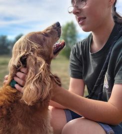 Hylton Hound Hotel Kennels