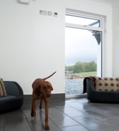 Clyde Valley Pet Retreat