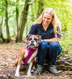 Conifer Kennels and Cattery