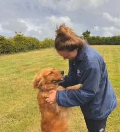 Hillcrest Kennels and Cattery