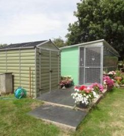 Four Seasons Kennels and Cattery