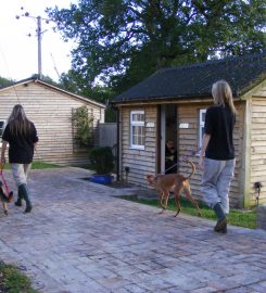 Hammerpond Kennels