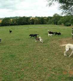 Bromyard Boarding Kennels