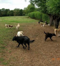 Bromyard Boarding Kennels