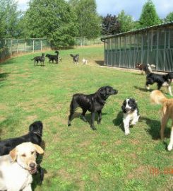 Bromyard Boarding Kennels