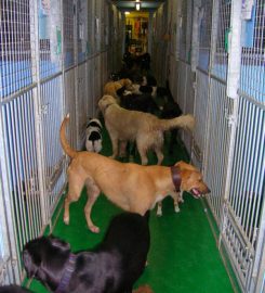 Bromyard Boarding Kennels