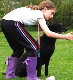 Eshiels Gundogs Boarding and Training Kennels