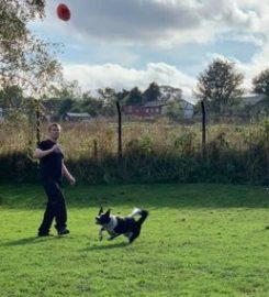 Glencoe Kennels and Cattery