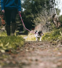 Go Walkies Bolton