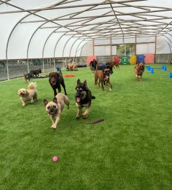 Barehams Boarding Centre