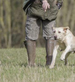 Fallowfen Training Kennels