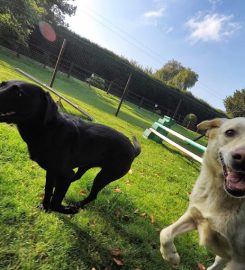 Lower Mill Boarding Kennels & Cattery