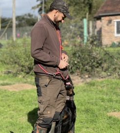 Bulled & Son Dog Training