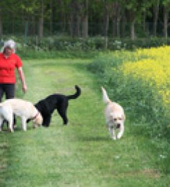 Belvoir Boarding Kennels