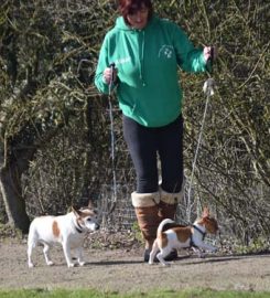 Five Oaks Cattery & Kennels